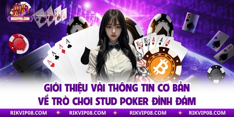 Giới thiệu thông tin cơ bản về trò chơi stud poker 